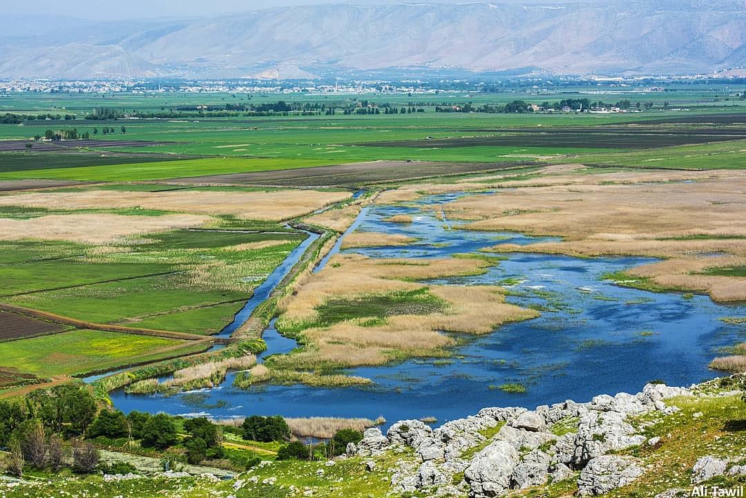 Ammik wetlands 🏞 landscape  beautiful  nature  naturelovers  lake  nikon... (`Ammiq, Béqaa, Lebanon)