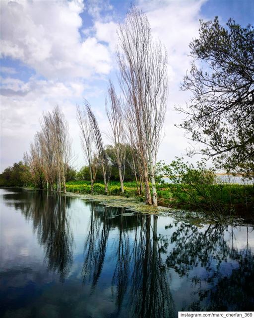  Ammiq Piece Of  Heaven 💙💚 Bekaa  Lebanon 🇱🇧 livelovelebanon ... (`Ammiq, Béqaa, Lebanon)