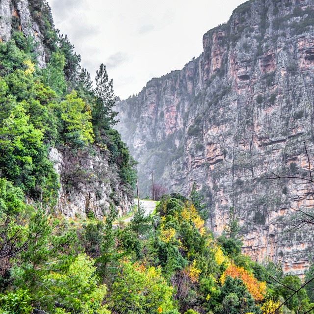 An adventurous drive. Chuwein, Lebanon. ...