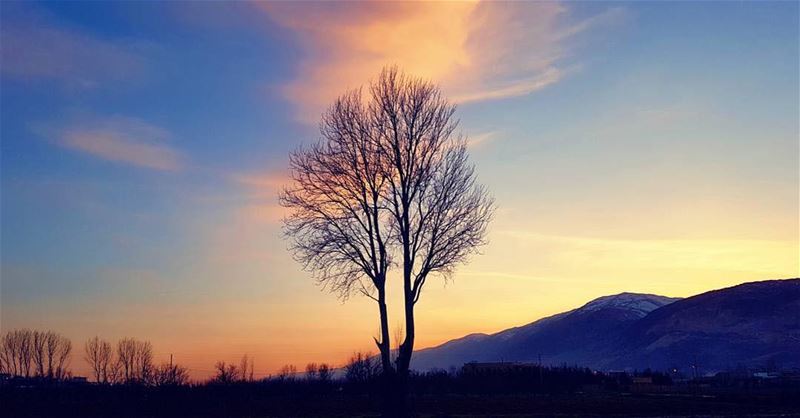 An amazing sunset from BekaaPhoto taken by @chadi.fares ☺️ lebanon ... (West Bekaa)