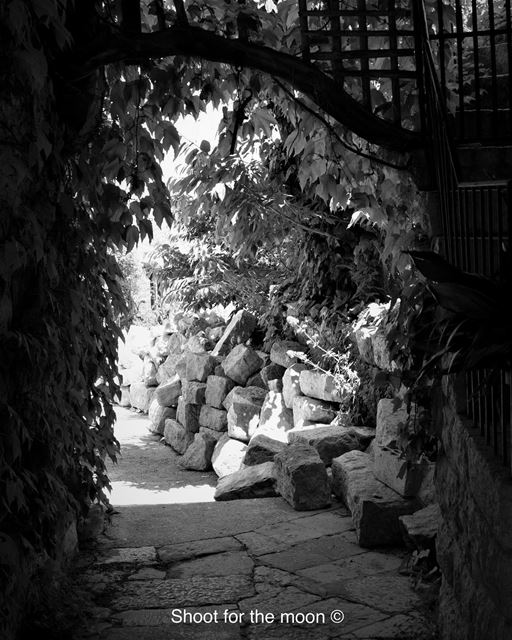 An arch under a tree. "If light is in your heart, you will find your way... (Douma, Liban-Nord, Lebanon)