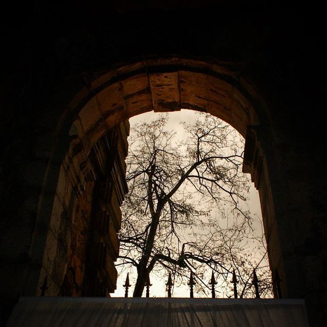 an autumn... (Sawfar, Mont-Liban, Lebanon)