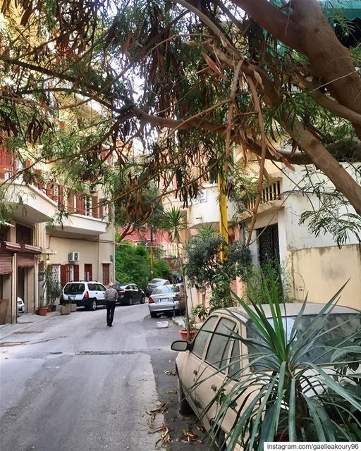 An early morning walk is a blessing for the whole day 🚶🏻‍♂️❤️  newday ... (Achrafieh, Lebanon)