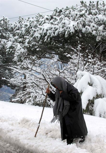 An elderly woman walking in the middle of the snow in Lebanon. (Ali Mohamad)