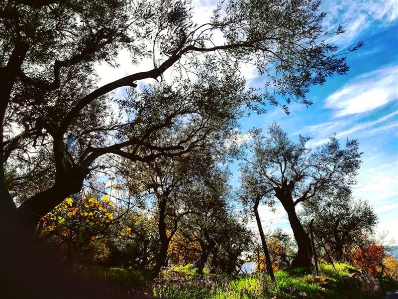 An  escape from the daily  stress... landscapephotography ... (Aïnâb, Mont-Liban, Lebanon)