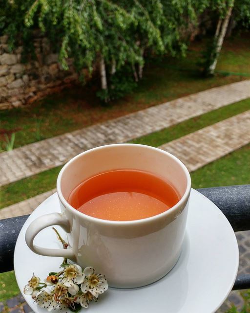 An infusion of hawthorn blossoms to be kind to my heart..Its an Iraqi... (Dayr Al Qamar, Mont-Liban, Lebanon)