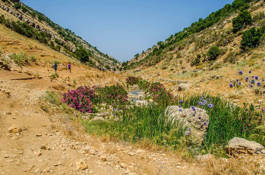 An oasis travelbloggers  discoverearth   earthofficial   instalebanon ... (Jezzine District)