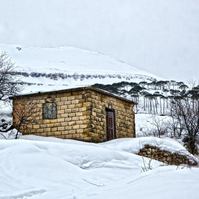 An old small house in the middle of the snow. Located in Tarchich, Lebanon...