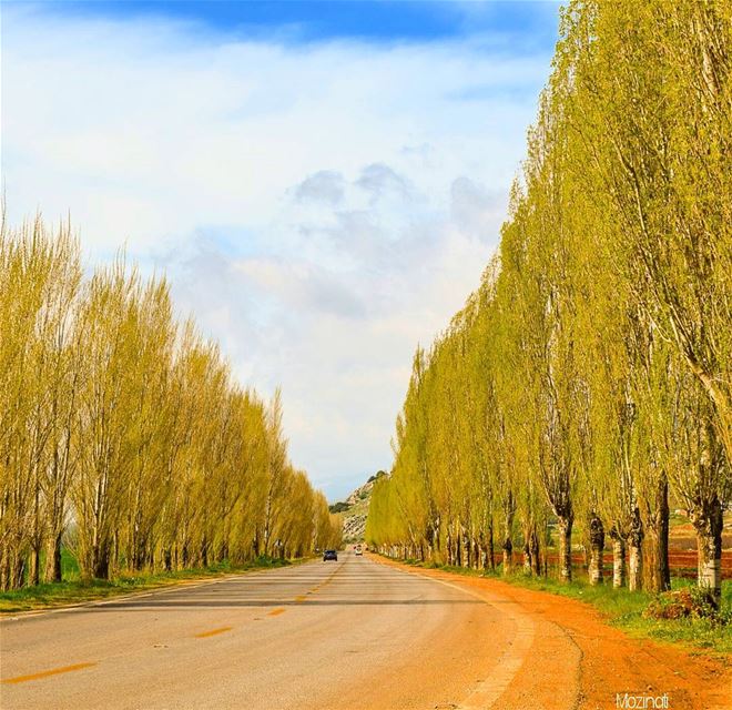 An open Road and ur Favourite Song, is sometimes all the therapy u Need.. � (`Ammiq, Béqaa, Lebanon)