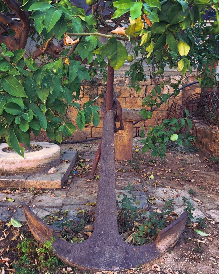 Anchor on display in the old port city of Batroûn  vintage  anchor  old ...
