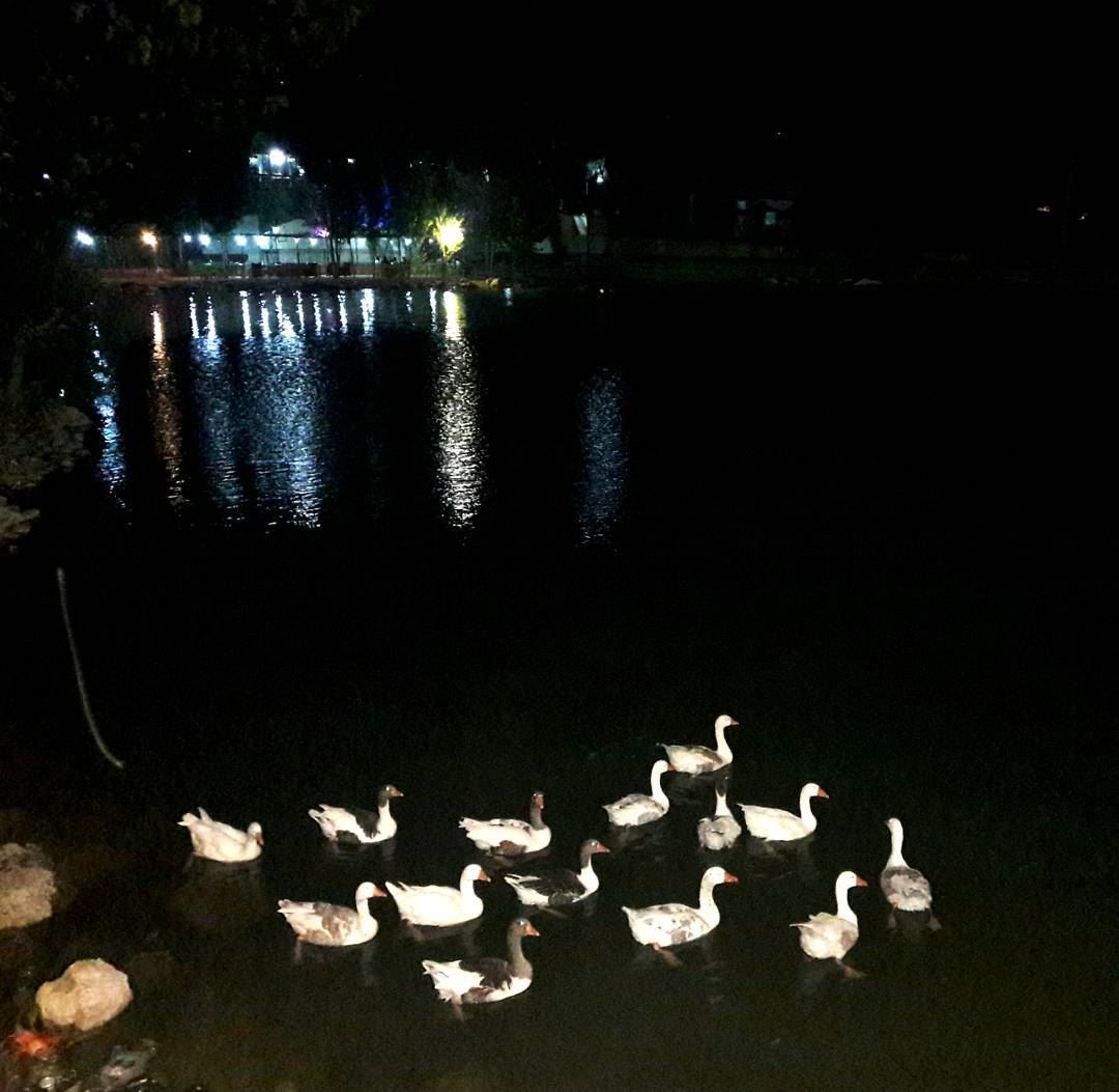 And a cold night in the summer 😍 night  lights  dark  family  time ... (Al Khiyam, Al Janub, Lebanon)