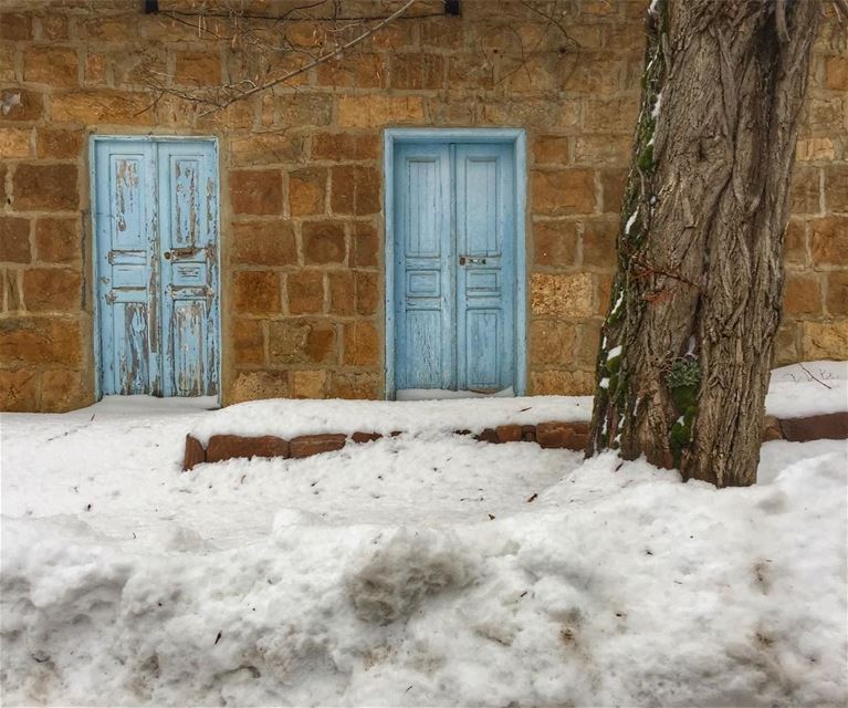 And after a Storm it's hard to escape but will find a way out! ... (Bâne, Liban-Nord, Lebanon)