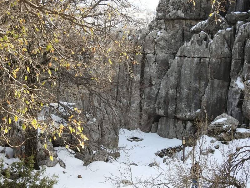 And I say to myself, what a wonderful world. JabalMoussa  unescomab ...