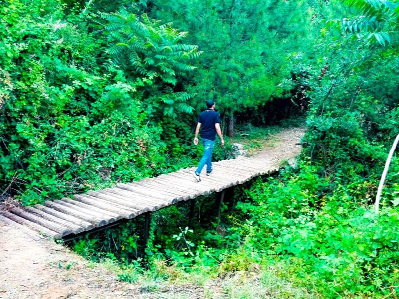 And into the forest I go, to lose my mind and find my soul. bridge... (Haret Sakhr, Mont-Liban, Lebanon)