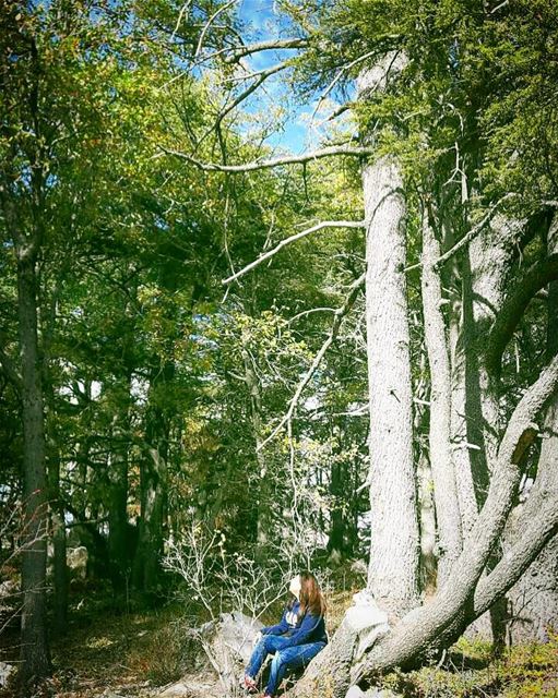 And into the forest I go, to lose my mind and find my soul. lebanon ... (Lebanon)