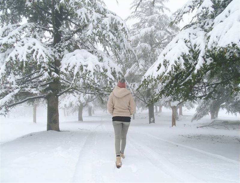 And into the mountains i go to lose my mind and find my soul❄......... (Qanat Bakish, Mont-Liban, Lebanon)