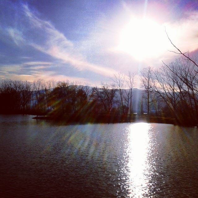 And isSun has drifted high. sun  sunshine  river  Lebanon  nature  trees ...