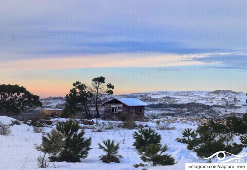 And leaving a warm home to fight the cold world , is a courage itself. So... (Bmahray, Mont-Liban, Lebanon)