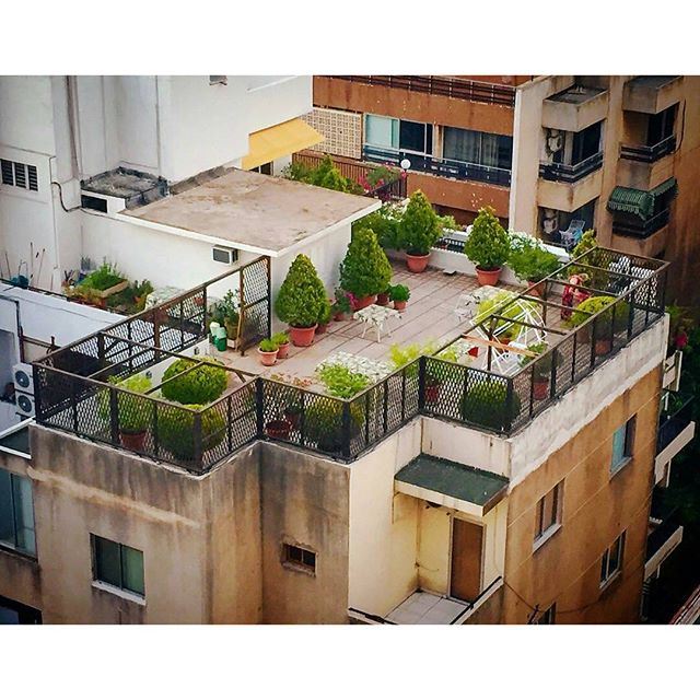 And who said you cant have a morning coffee in ur garden in the middle of Beirut?! (Beirut, Lebanon)