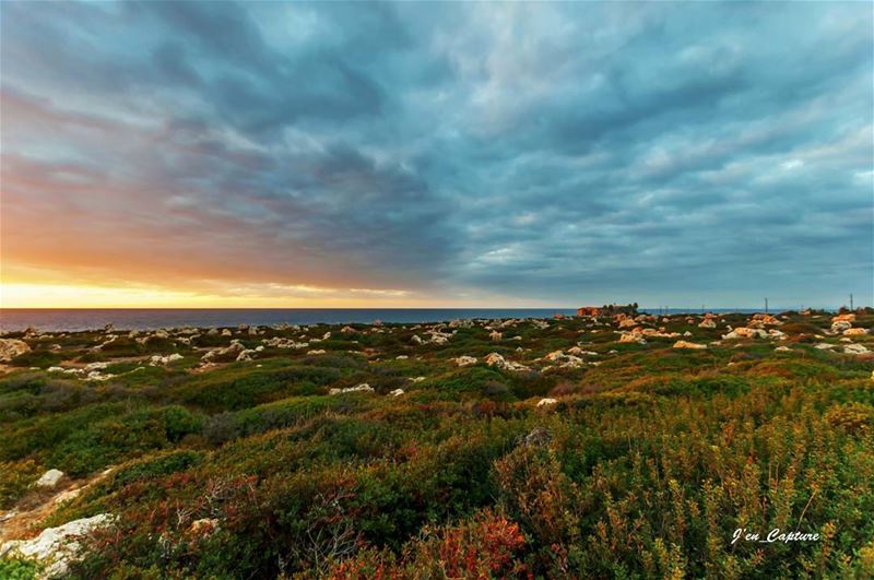 Anfeh 🌆••• Lebanon  lebanon_hdr  Anfeh  LiveLoveLebanon ... (Anfeh, Lebanon)