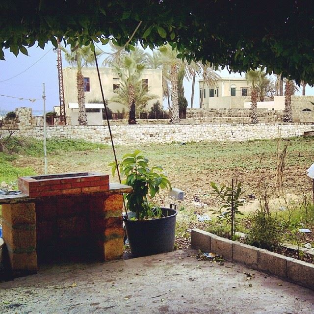  anfehalkoura  anfeh  koura  north  lebanon  insta_lebanon  instalebanon ...