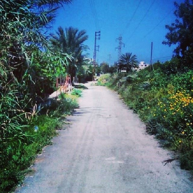  anfehalkoura  anfeh  koura  north  lebanon  insta_lebanon  instalebanon...