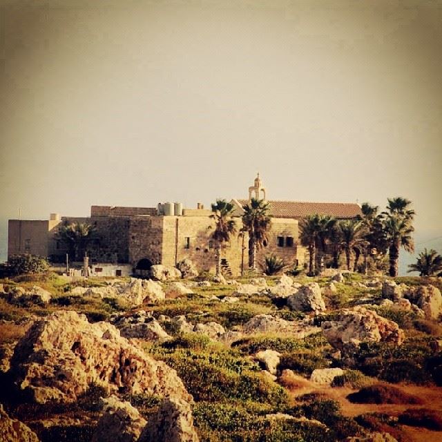  anfehalkoura  anfeh  koura  north  lebanon  insta_lebanon  instalebanon...