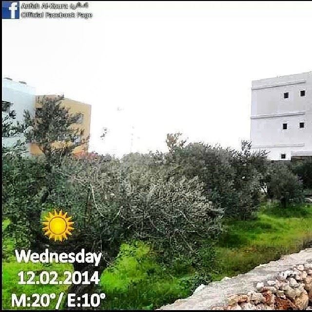  anfehalkoura  anfeh  koura  north  lebanon  insta_lebanon  instalebanon ...