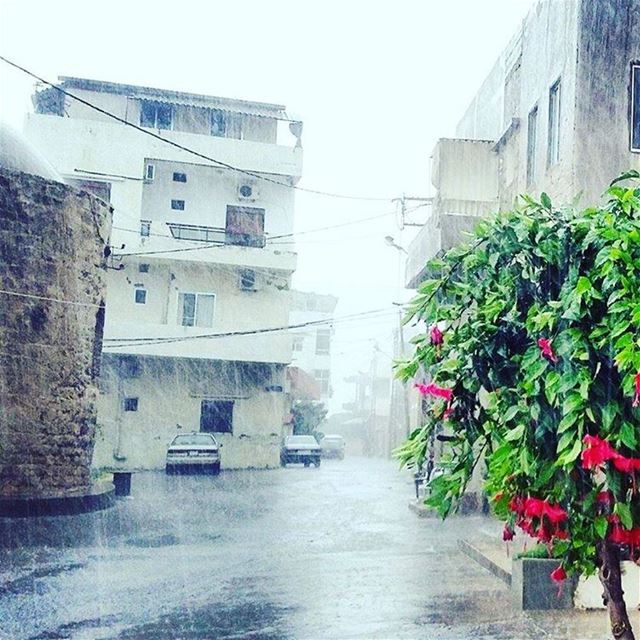  anfehalkoura  greekorthodox  anfeh2015  lebanon  insta_lebanon ...