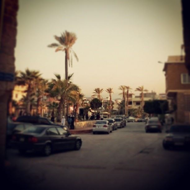  anfehalkoura  lebanon  insta_lebanon  instalebanon  insta_lebnen ...