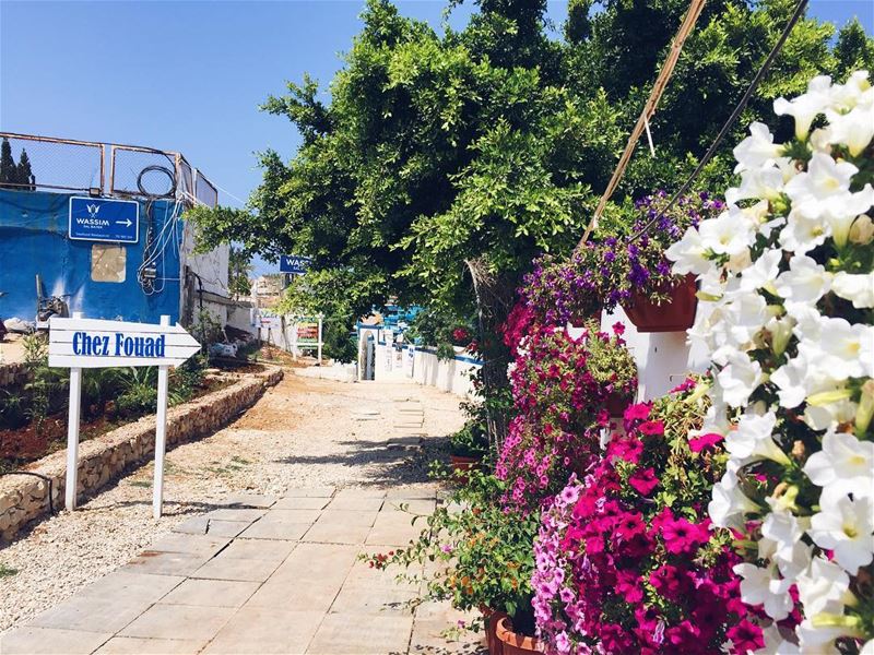Anforini ترحّب بكم ☀️🌺 liveauthentic  lebanon lbl livelovelebanon... (Ta7t El Ri7 - Anfeh)