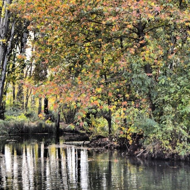 Anjar lakesBekaa.Shot taken by me. (  proudlylebanese  green  lebanon ...