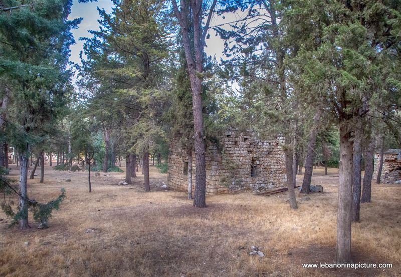 Anjar Ruins Bekaa Lebanon