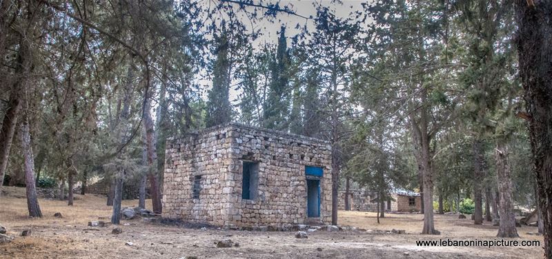 Anjar Ruins Bekaa Lebanon