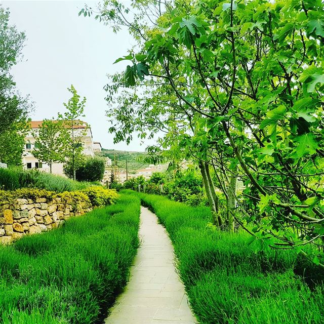 Another beautiful green spot of Lebanon... alwaysyearningforgreen... (Bhamdoûn, Mont-Liban, Lebanon)