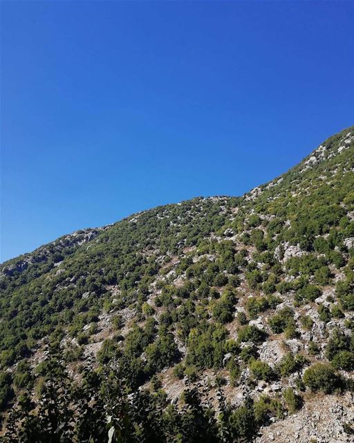 Another beautiful morning from Nahr ed Dahab  JabalMoussa. unescomab ...