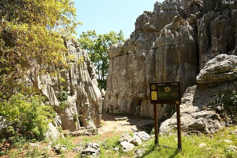 Another beautiful trail to explore.  JabalMoussa  unescomab  unesco ...