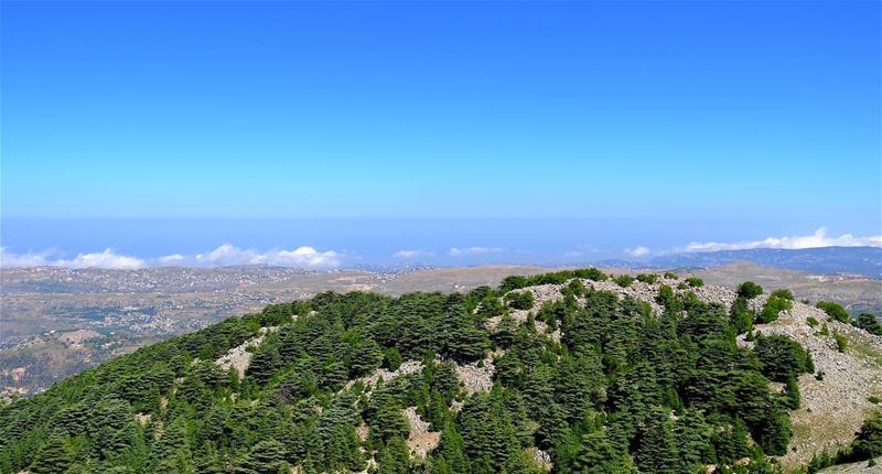 Another  🖼 from  🇱🇧. (Aïn Zhalta, Mont-Liban, Lebanon)