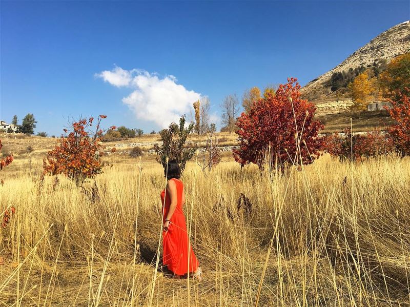 Another one shot by @amanyabisemaan Loving Laklouk’s colors 🍁🍁🍁...... (El Laklouk, Mont-Liban, Lebanon)