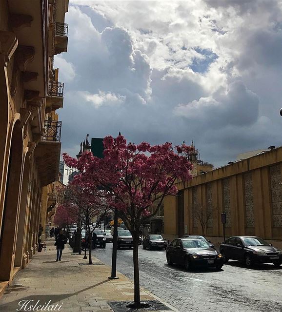 Another rainy day💞keep smiling 😊 whatsuplebanon  ig_Lebanon  nationalart... (Beirut City Lebanon)