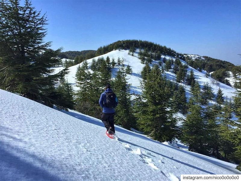 Another snowshoeing event this Sunday❄️ (read full info below)..📆📍Sund (Bâroûk, Mont-Liban, Lebanon)