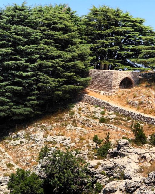 Antiga igreja aninhada no bosque de cedros em Jaj, Monte Líbano 🇱🇧... (Jaj, Mont-Liban, Lebanon)