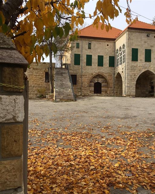 🍁Anyone who thinks fallen leaves are dead, has never watched them dancing... (Ehden, Lebanon)