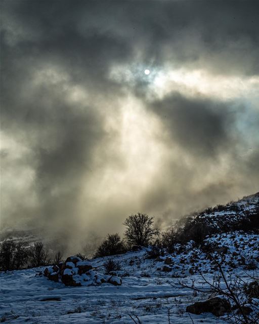 Apocalypse!..... apocalypse  nature  mother  nature  tree  lonely ... (Akoura, Mont-Liban, Lebanon)