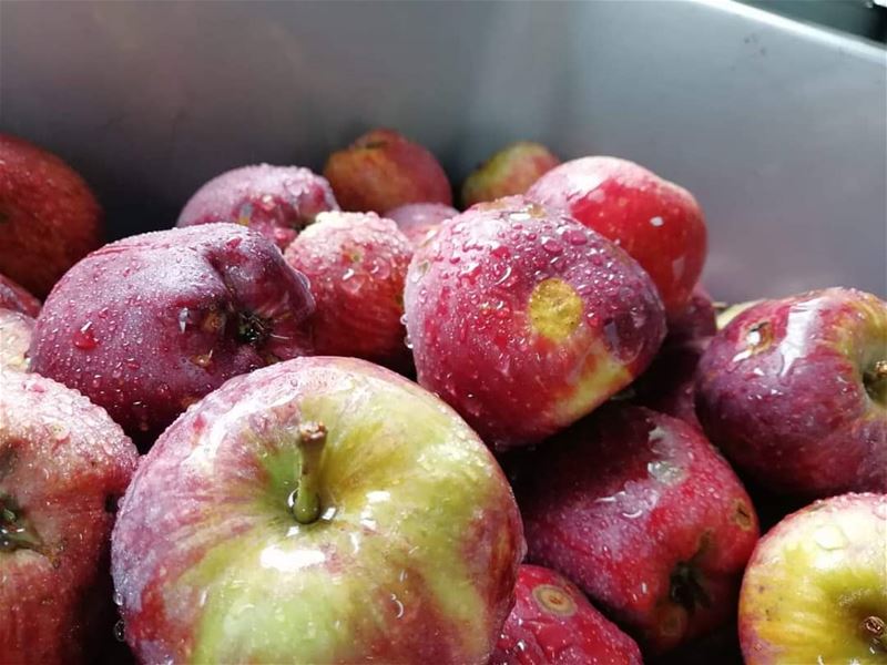 Apple and Clove Jam to be. JabalMoussahttp://eshop.jabalmoussa.org/prod (Jabal Moussa Biosphere Reserve)