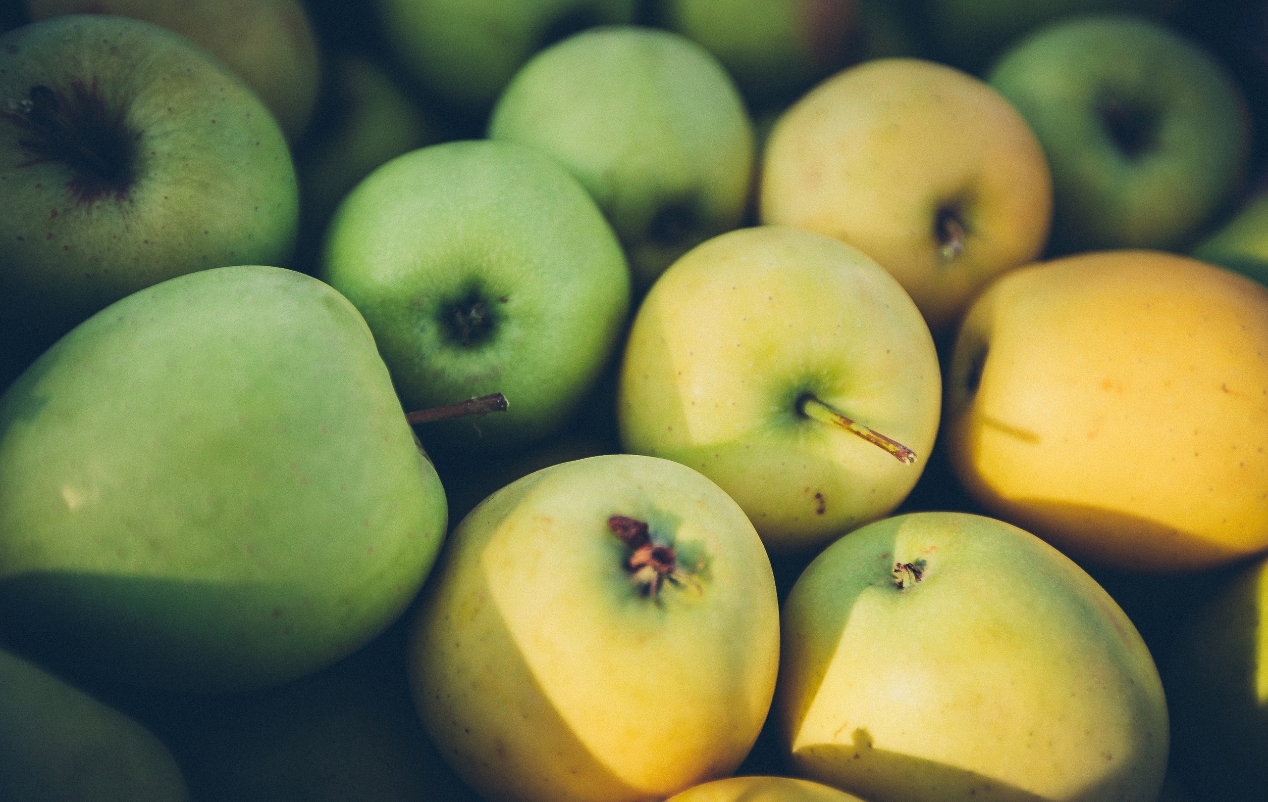 Apple Plantation