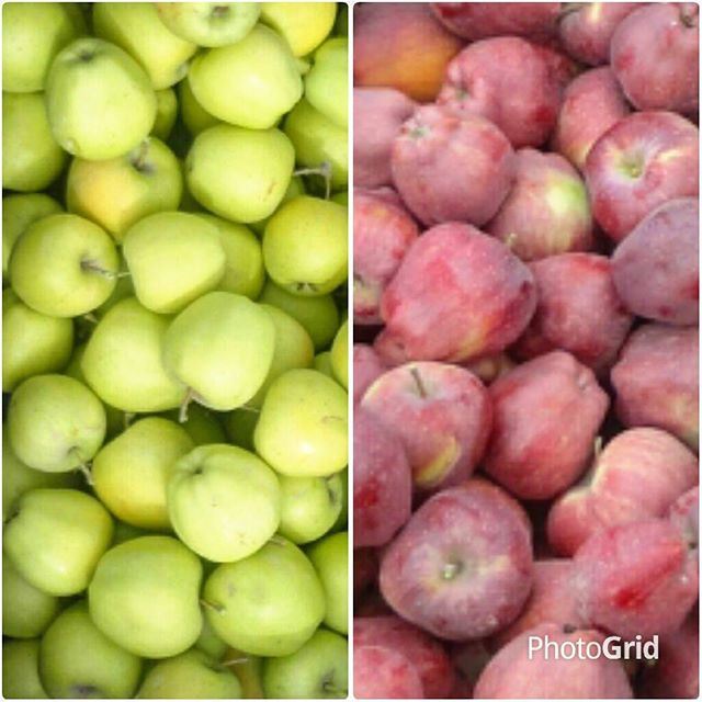 appleredapple whiteapple yellowapple fruitpommesrouges pommesjaunes automne autumfall (Tarchich)