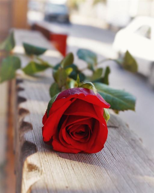 💫 Appreciate the little things in life..________________________Follow:...