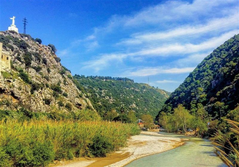 Appreciating the beauty of nature❤ river  dogriver  nahrelkalb ...