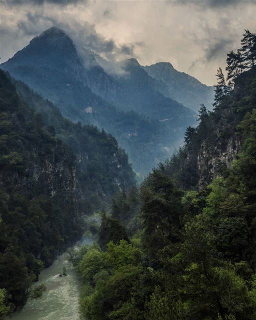 April Rain mountains  valley  river  Forest  trees  nature  rain  fog ...